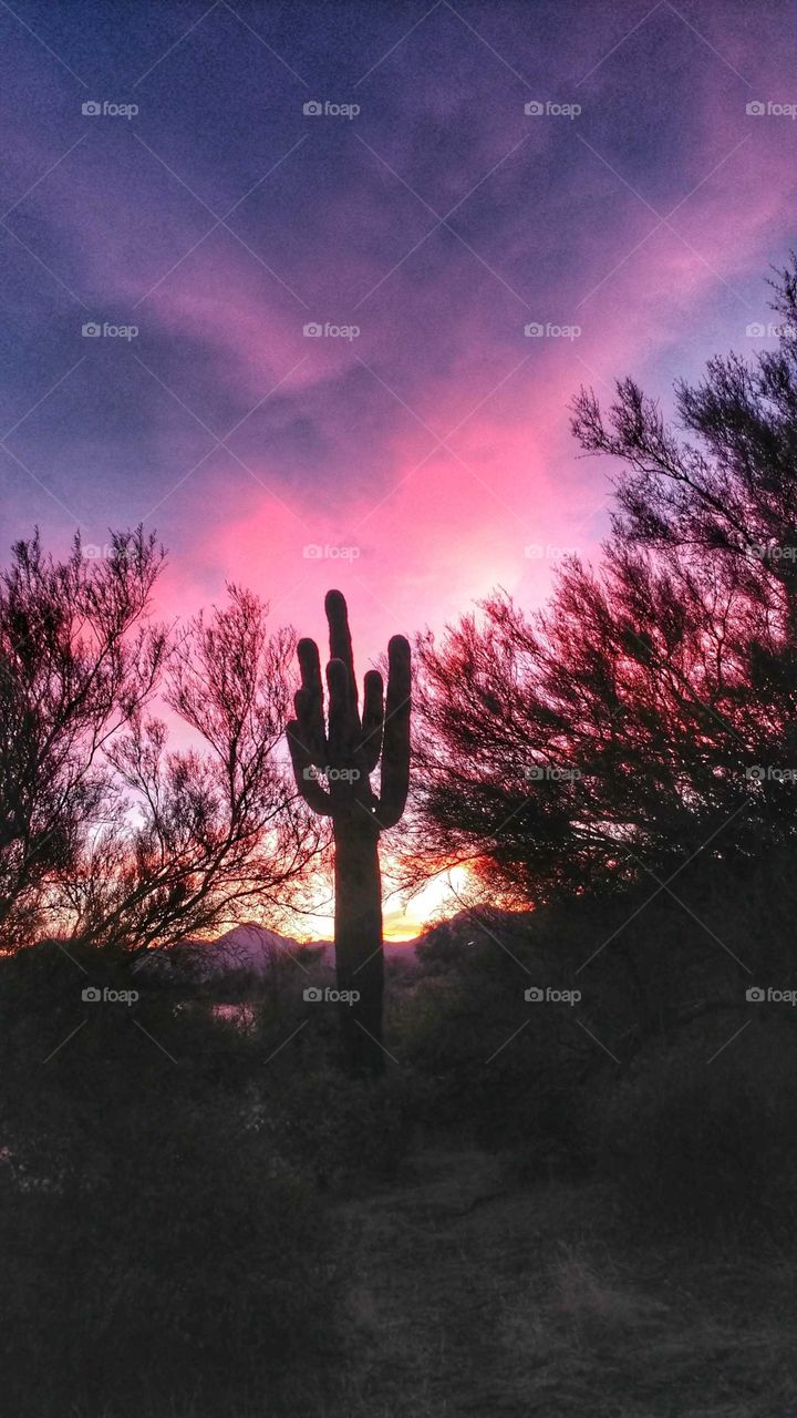 Vivid hues of purple and red light up the desert at sunset.