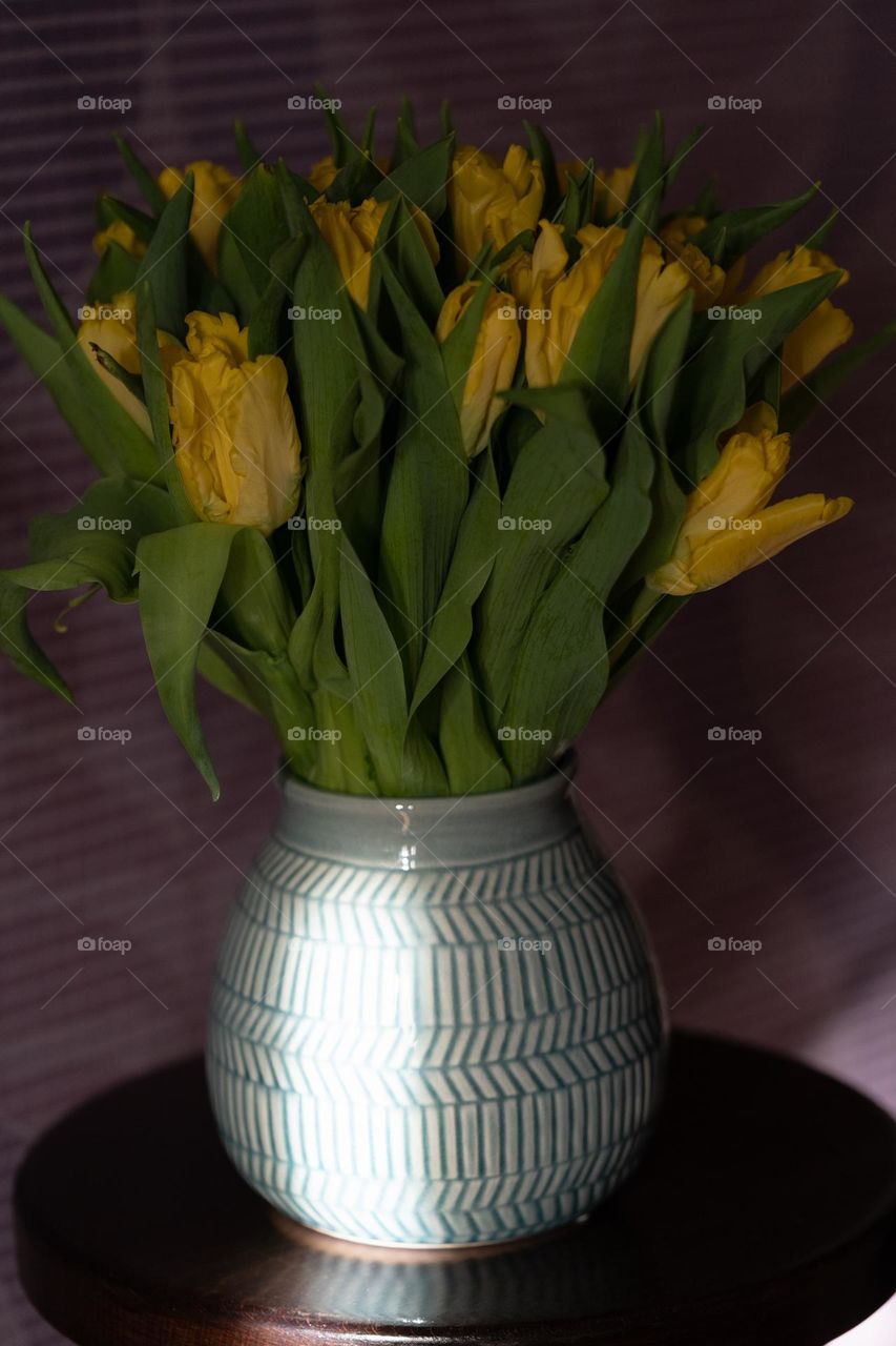 Tulips