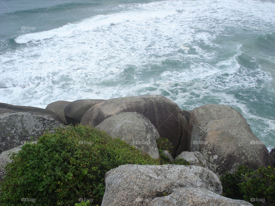 rochas Florianópolis