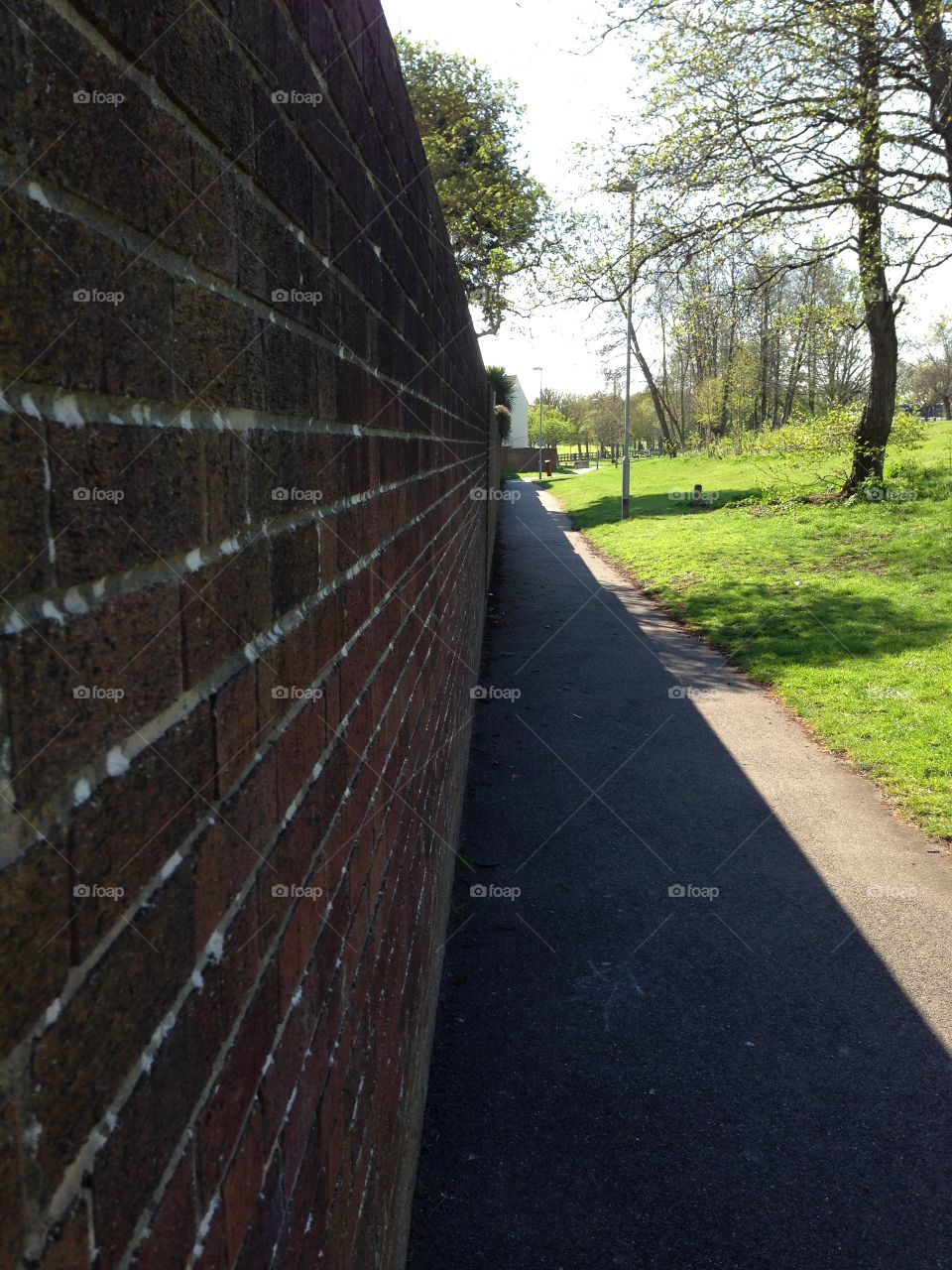 The wall along the park alley. The wall in the park 