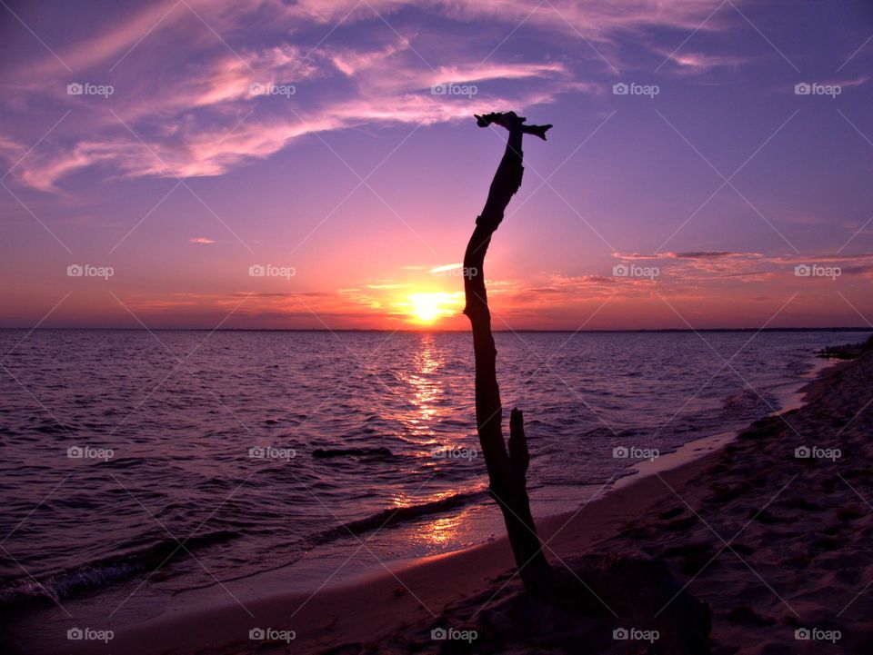 Capture the Power of Complimentary Colors - YELLOW AND PURPLE - Purple skyline with an Orange sun. Yellow is often associated with happiness, and energy, and Purple can be associated with royalty, wealth, creativity, and even a sense of mystery