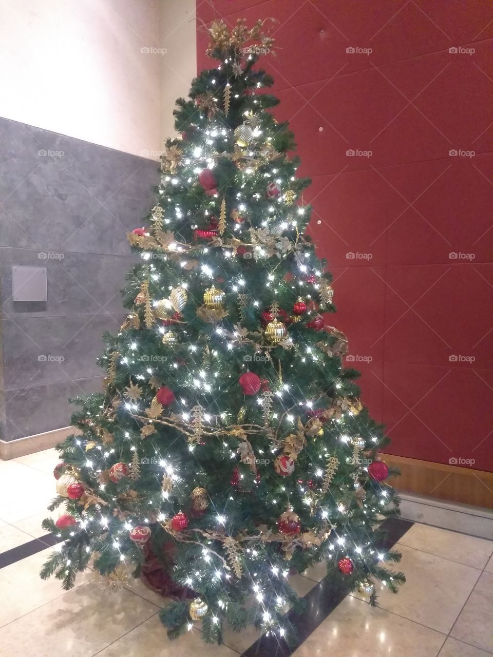 Christmas, Winter, Christmas Tree, Decoration, No Person