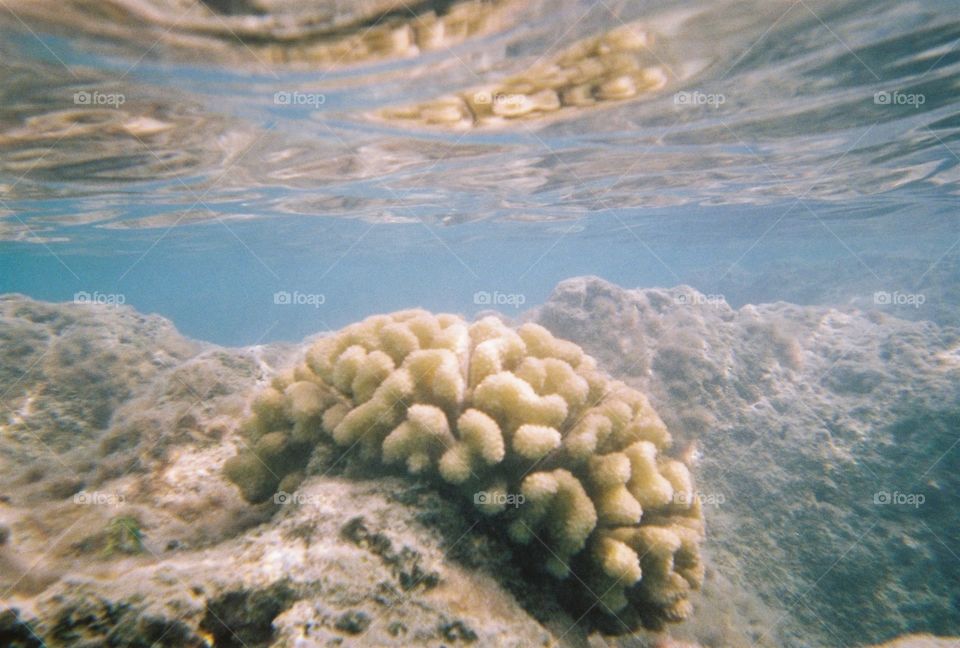 Oahu, Hawaii - Hanauma Bay