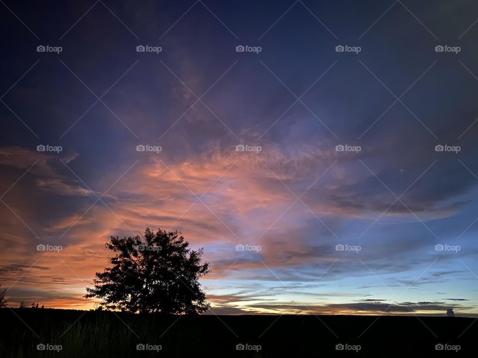 Moody African sunset