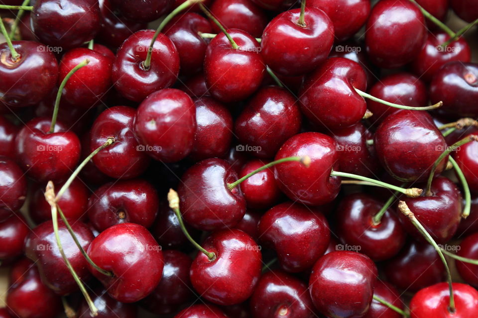 Close-up ripe organic cherries. Background and texture.
