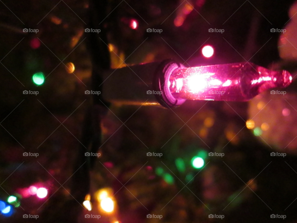 macro colors tree christmas by ashley77