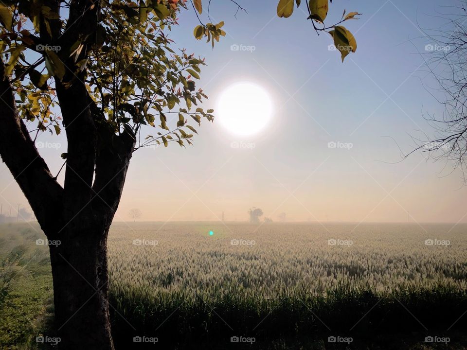 Rising Sun waking up the nature to life