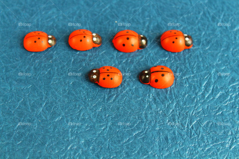 ladybug decorations