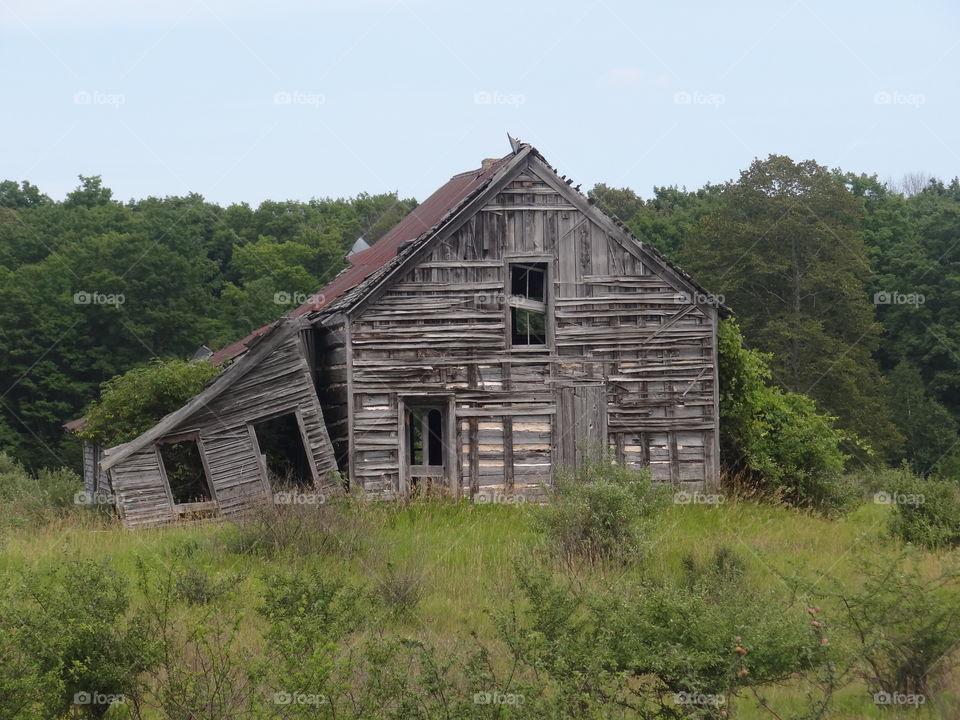 Taken Back by Nature. Run down, abandoned home with trees growing inside. 
