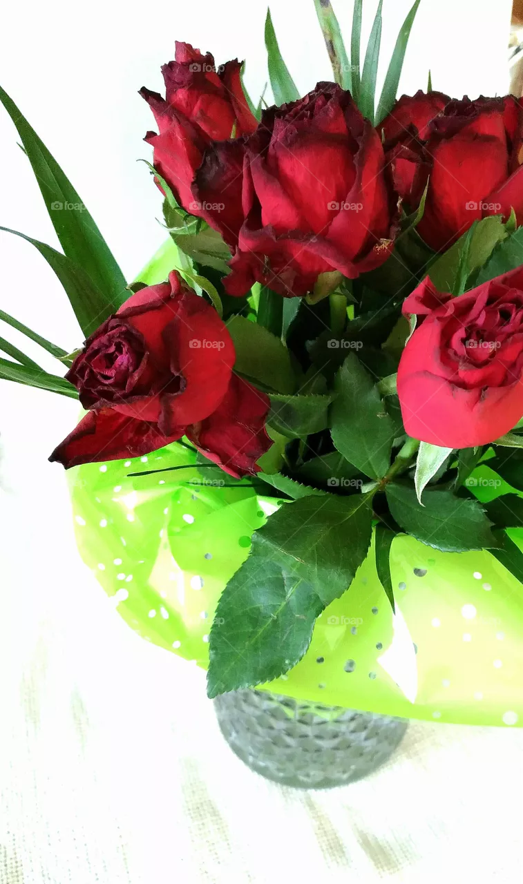 roses