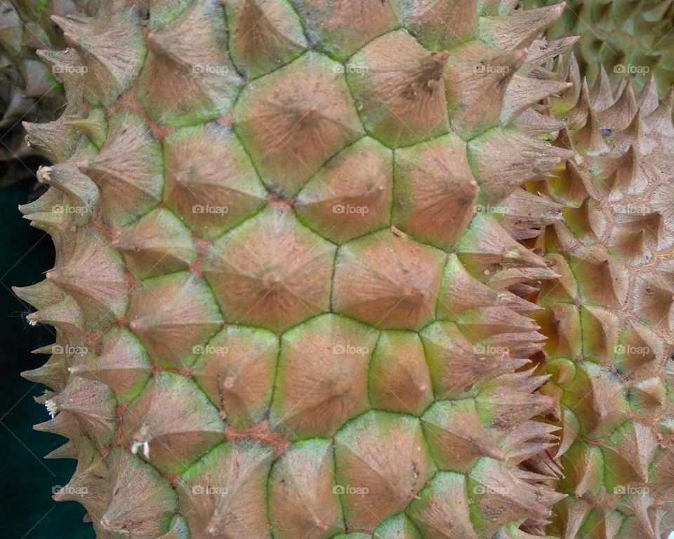 Fresh  durian fruit on market