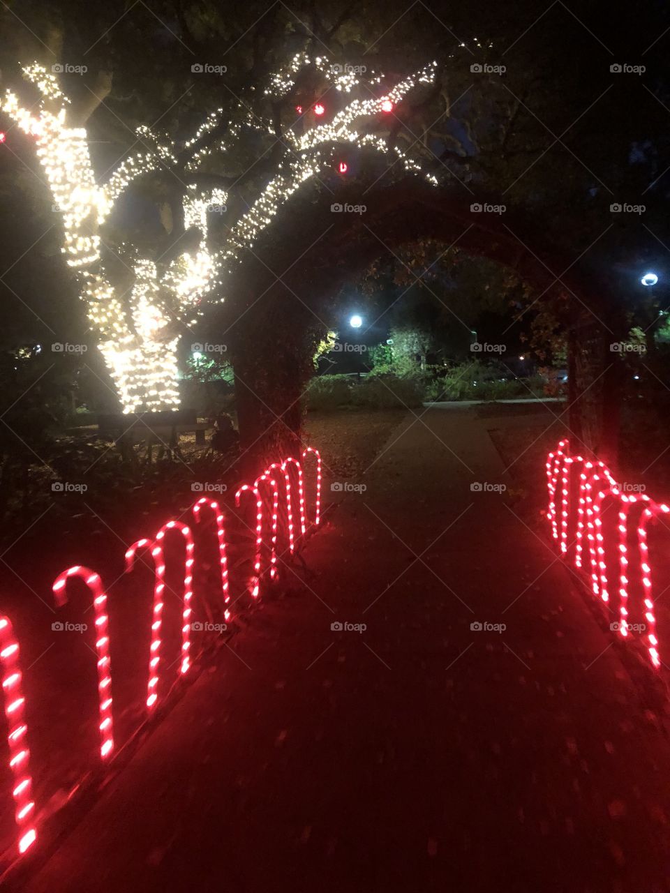 Candy cane walkway 