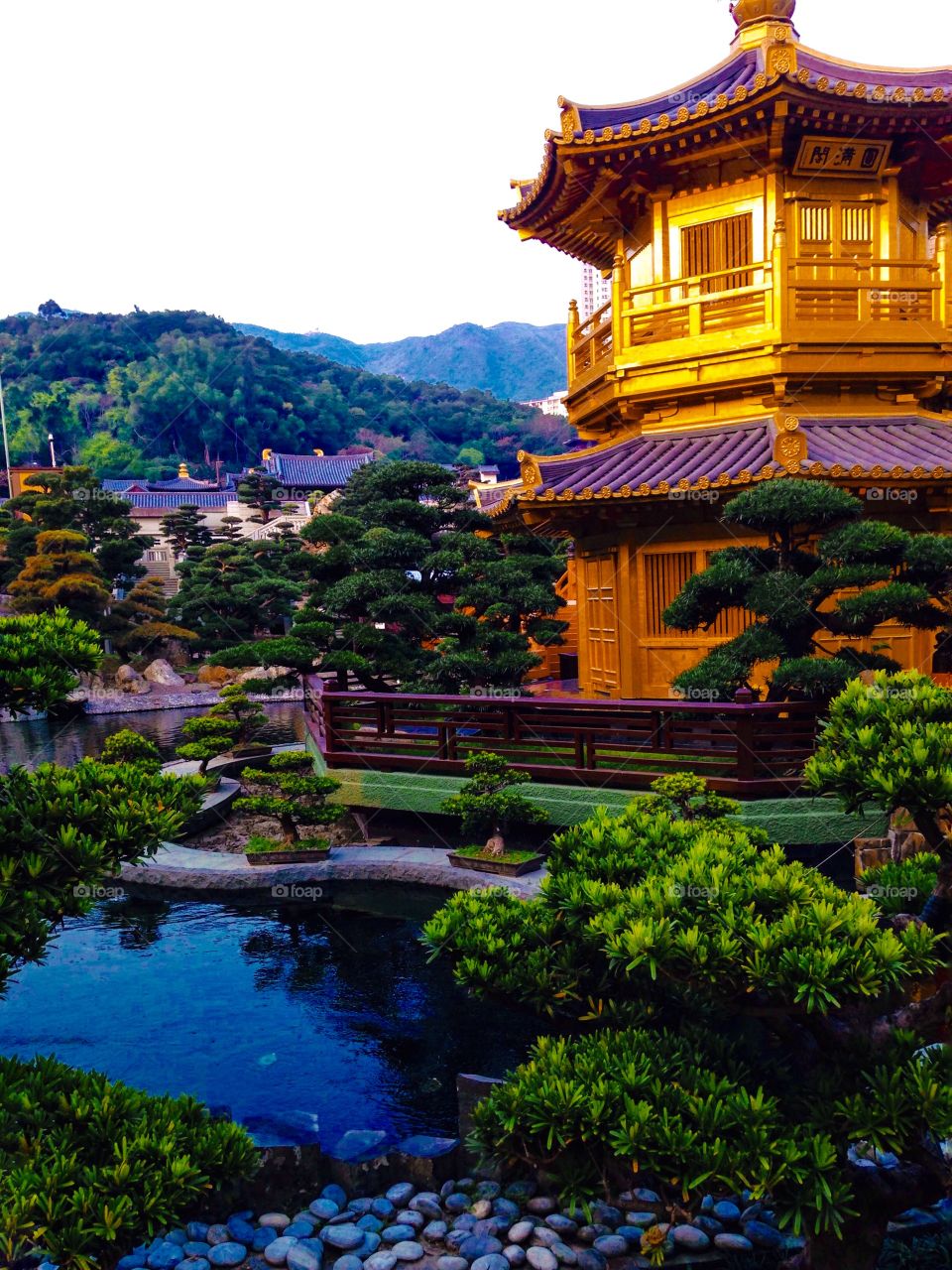 Japanese garden in Asia