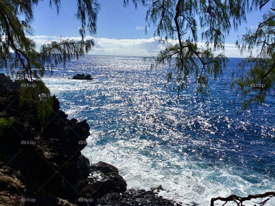 Sunny day on the ocean