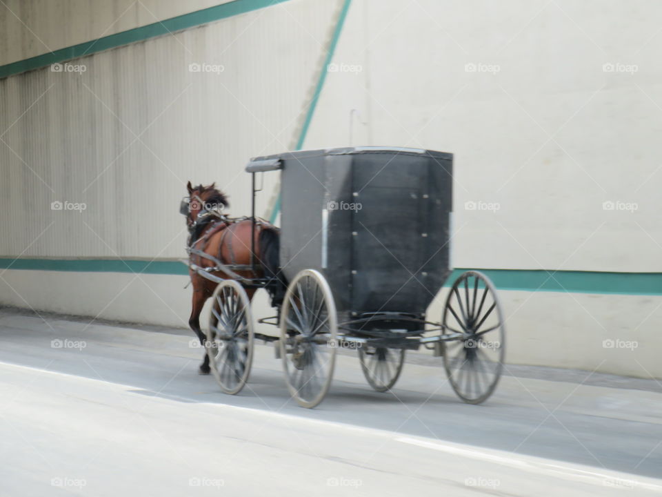 Amish of 21st century
