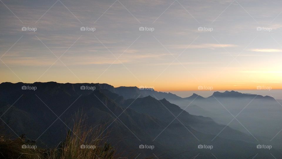 Nature does not hurry, yet everything is accomplished."