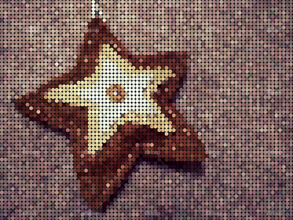 Christmas star decorations