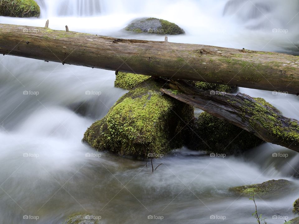Moss covered rocks and logs in a waterfall in the woods of Southern Oregon on a nice spring day. 