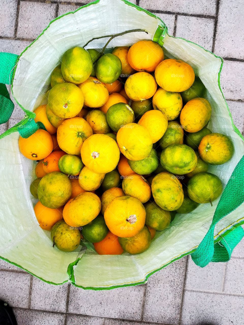Lemons & oranges