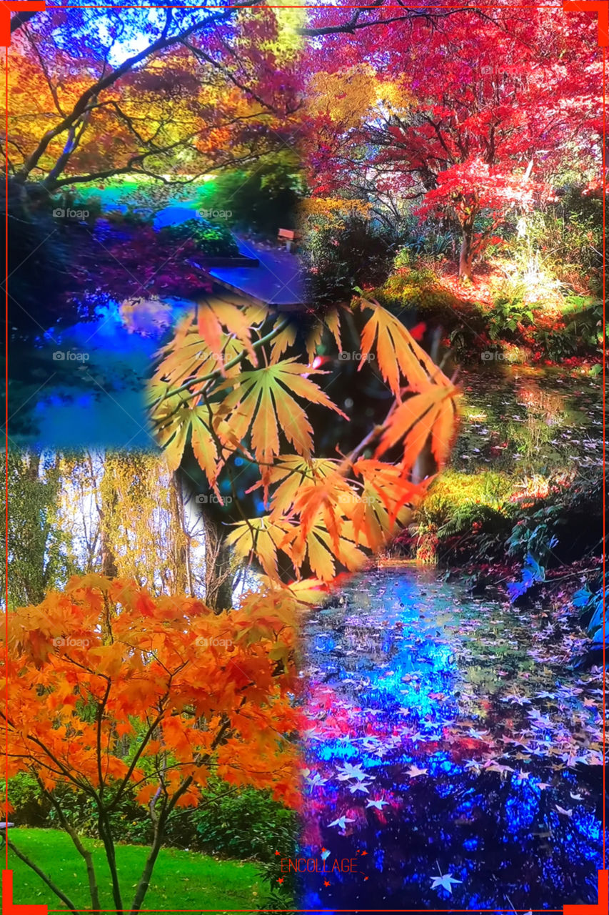 Beautiful plants and trees