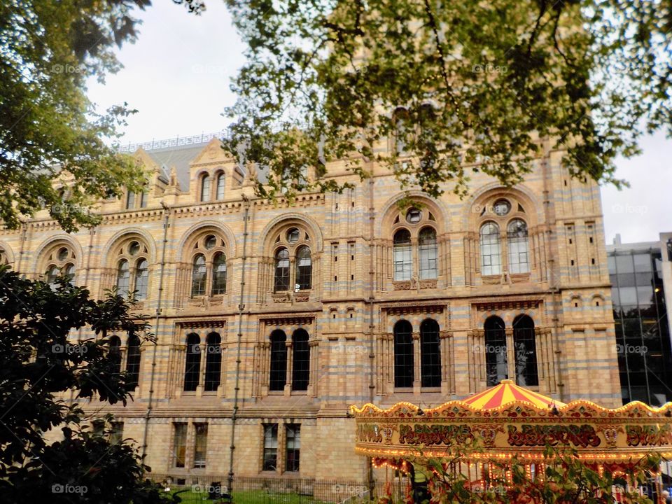 First glimpse of Natural History Museum 