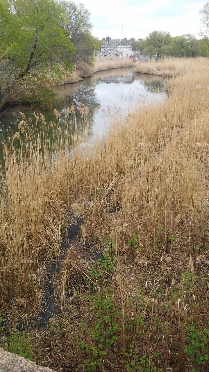 calm. think. water. river. peace