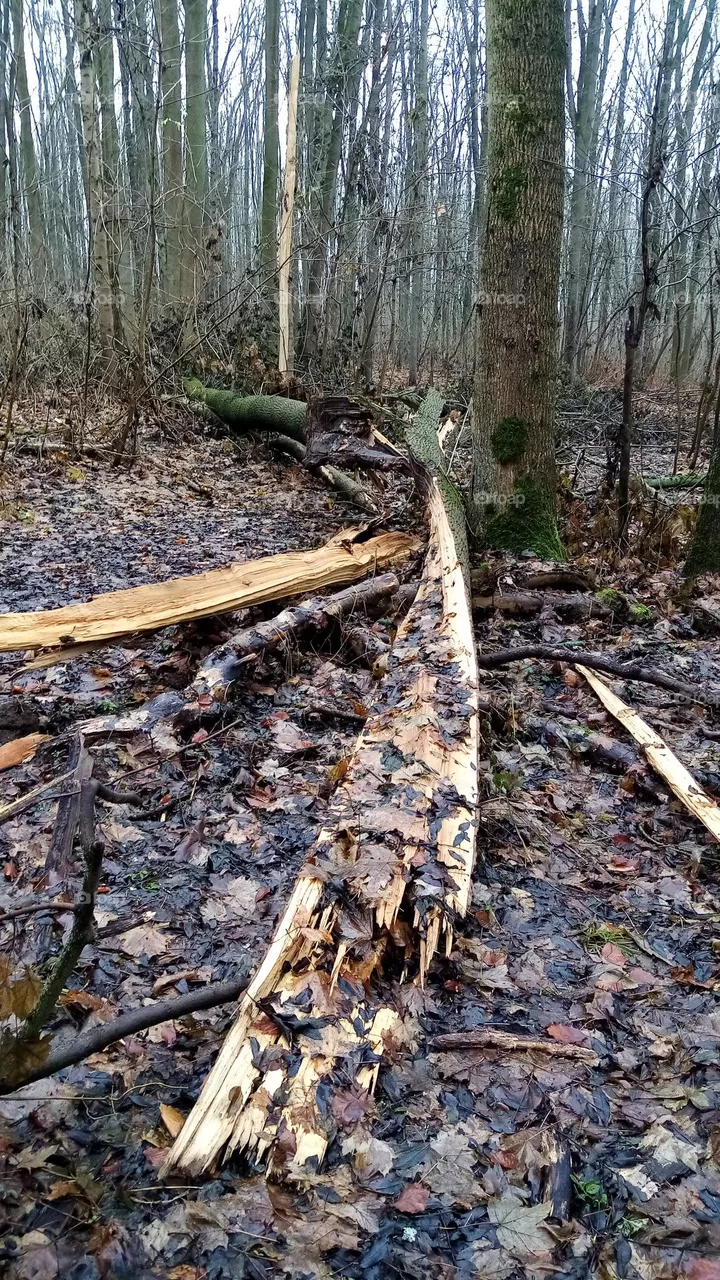 Nach dem Storm
