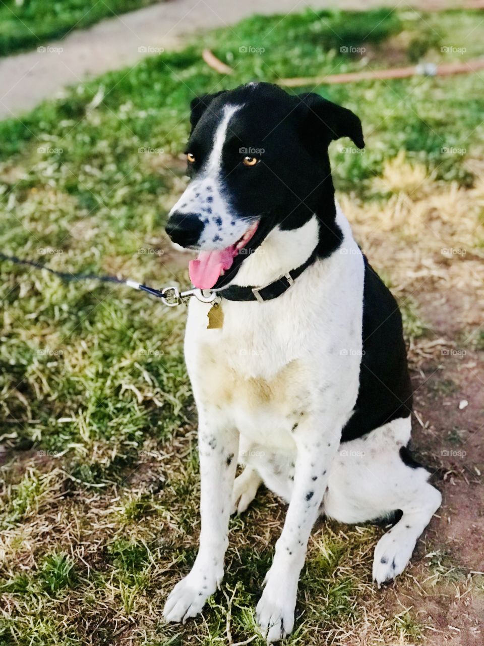 Hello I’m waiting here patiently who dare to play with me, come on let’s play! Kitty 🐱