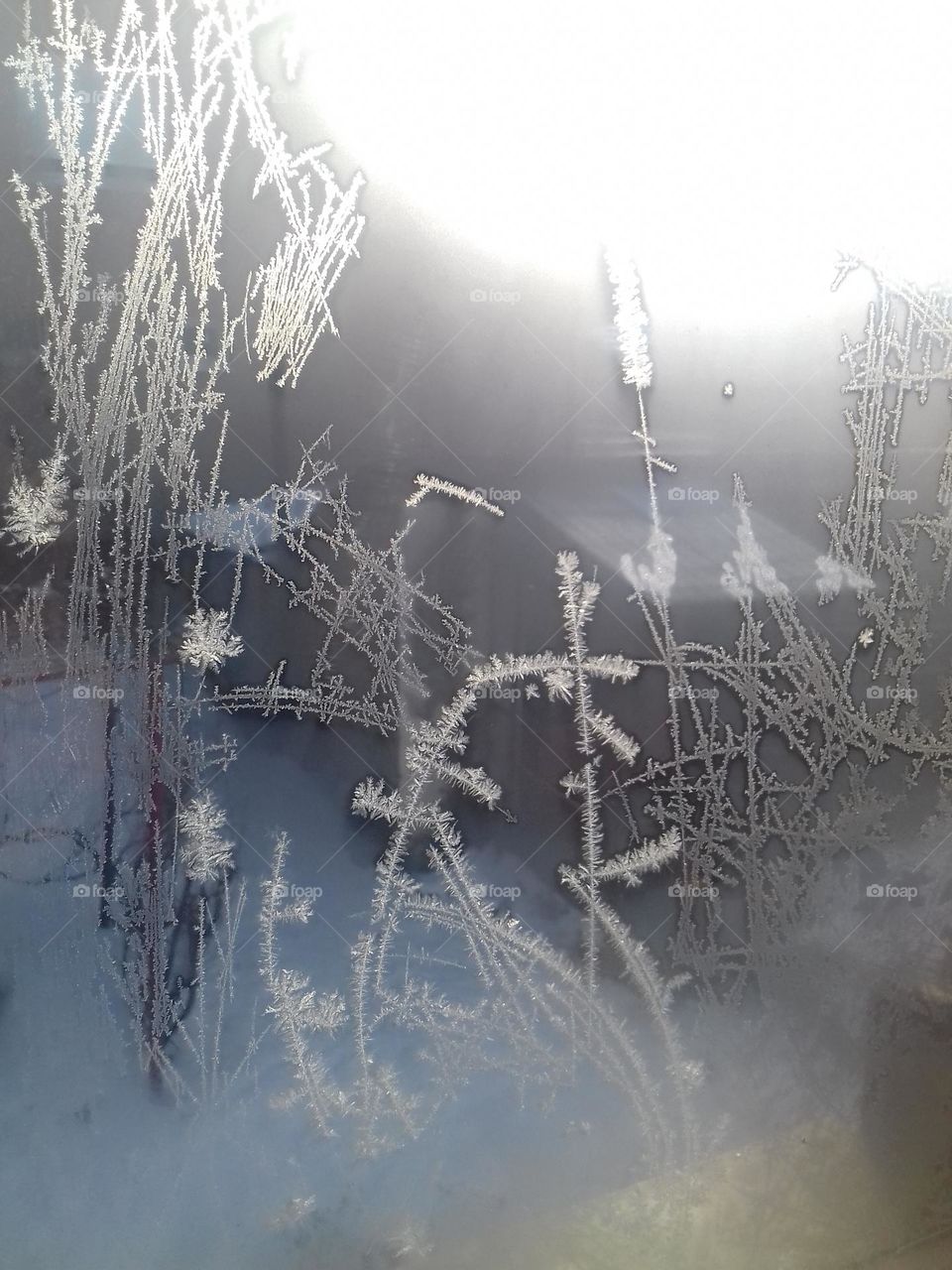 Frost on the glass pattern