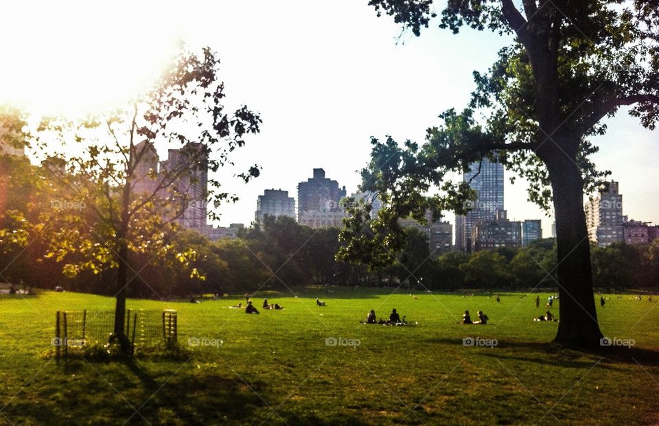 central park