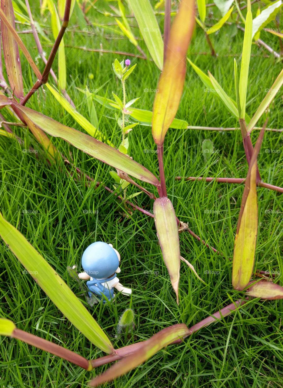 The art of composition: the little man's vision. he is suprised at such big grass. (fairytale)