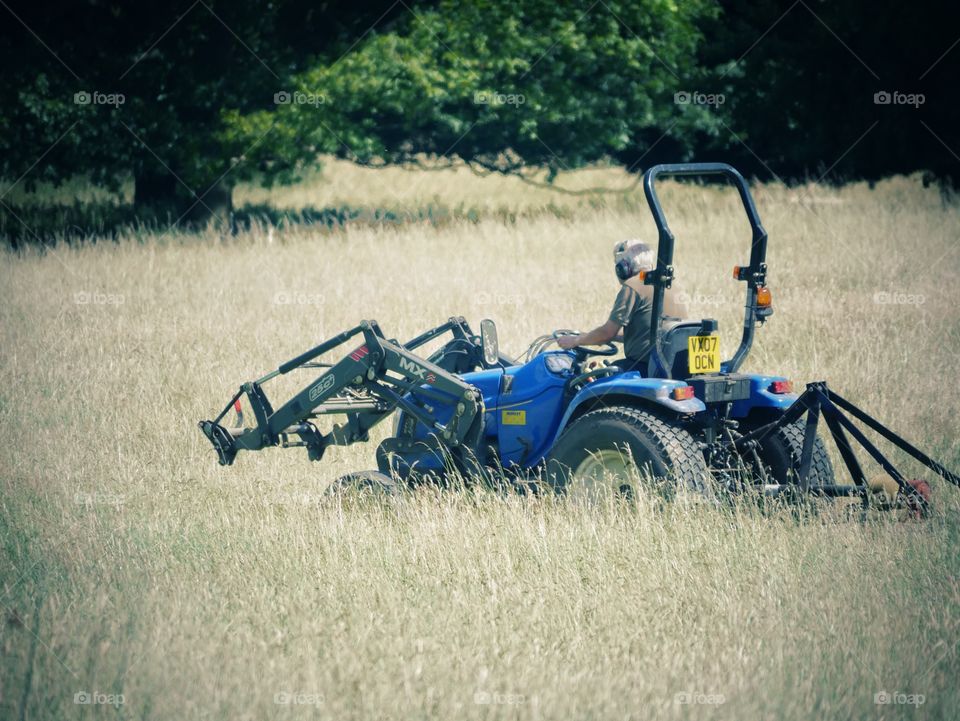 Tractor. Cutting grass