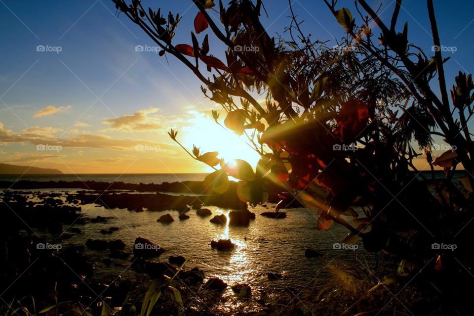 sunrise on the sea