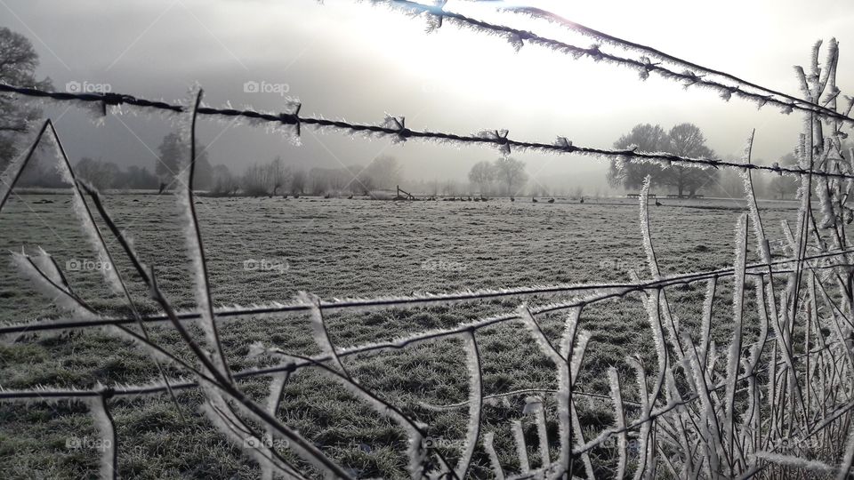 frost fence