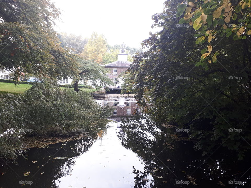 Water, Tree, No Person, River, Landscape