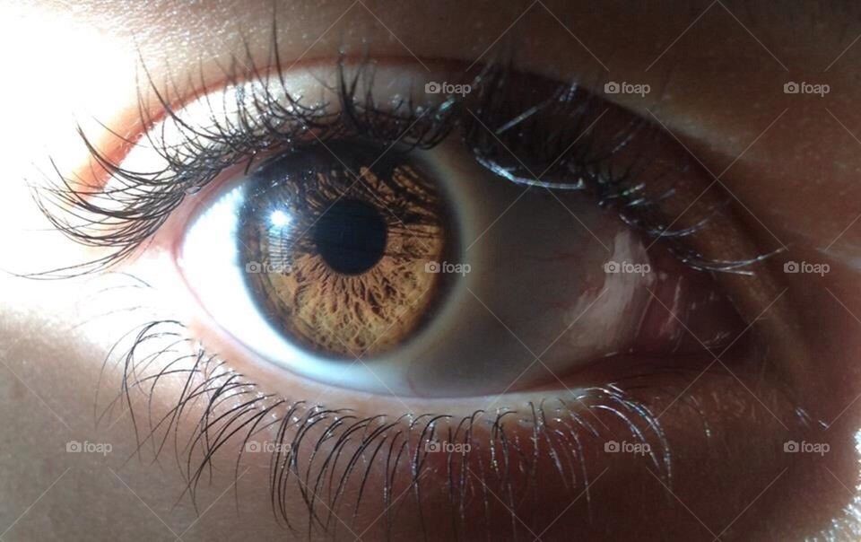 My eye :)