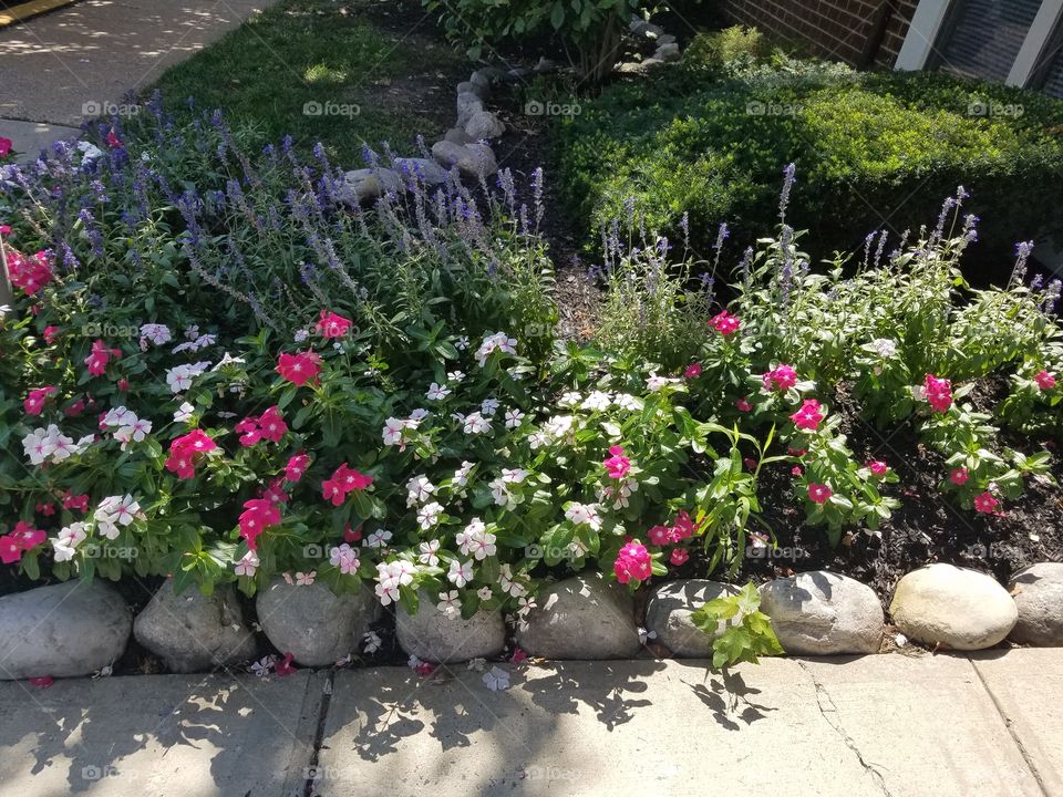 flower beds