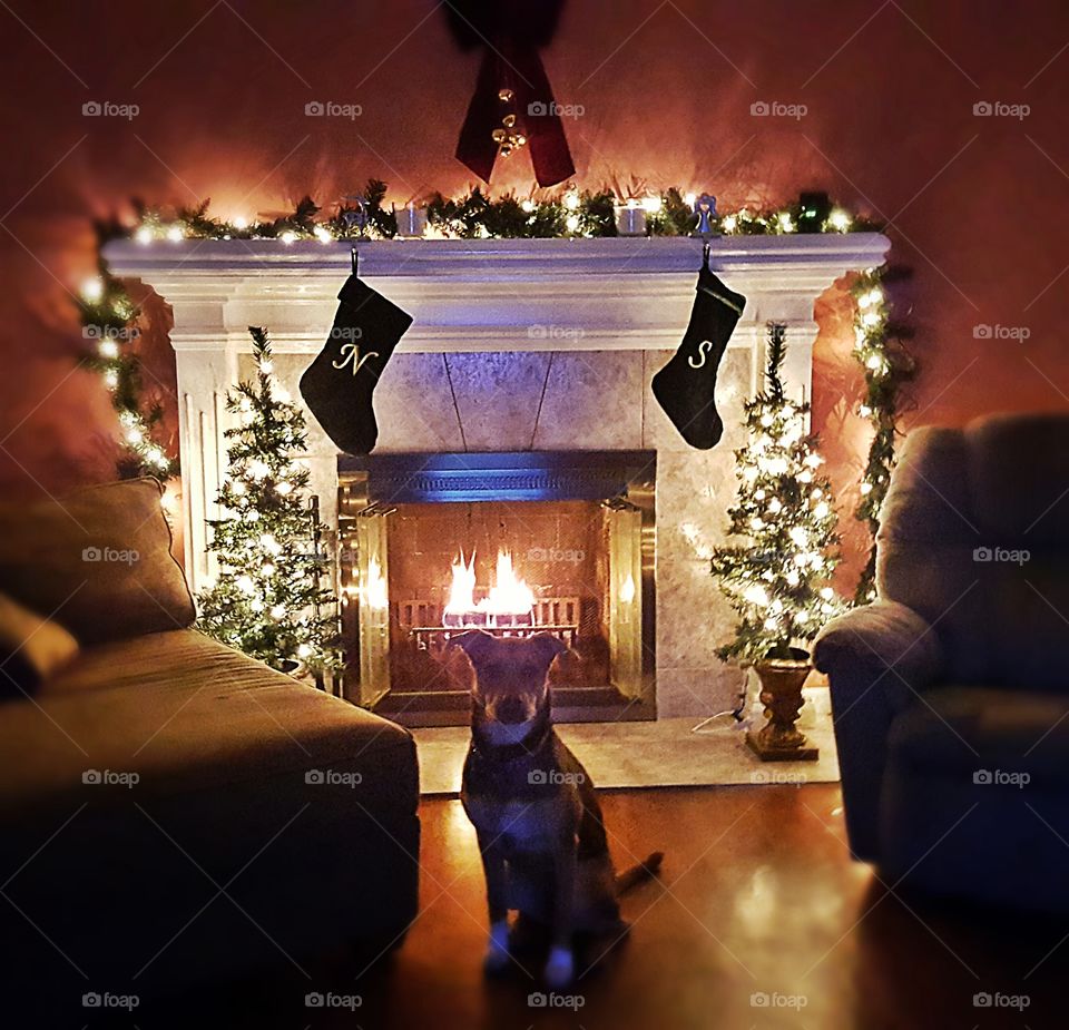 Enjoying a nice relaxing fire Christmas Eve.