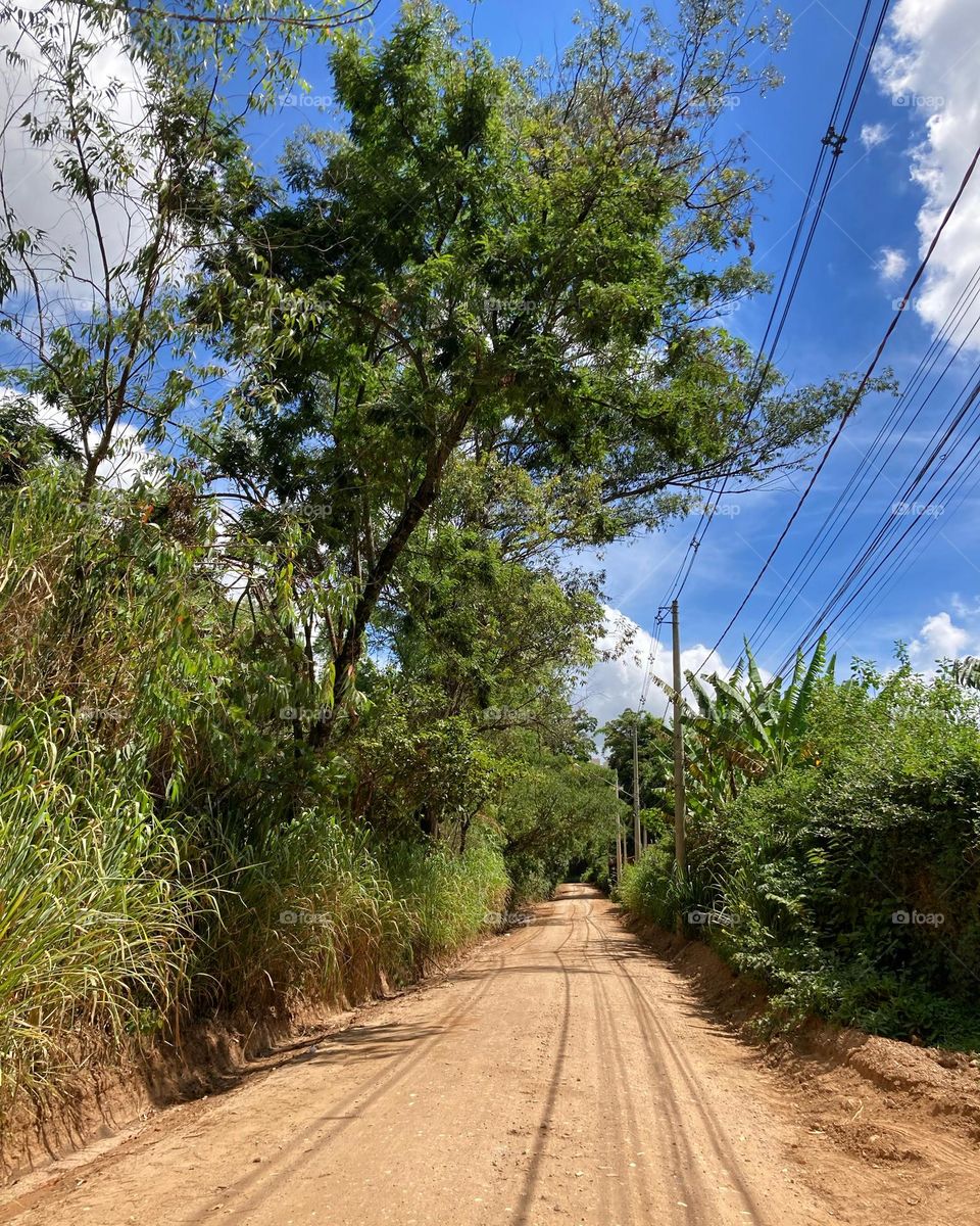 Faz tempo que não ando pelas estradas de terra (as poucas que restam) do Bairro Medeiros (Jundiaí).

Ô lembrança de infância... o quanto andar a pé por aqui ou de bicicleta!

Memórias são para serem lembradas sempre...