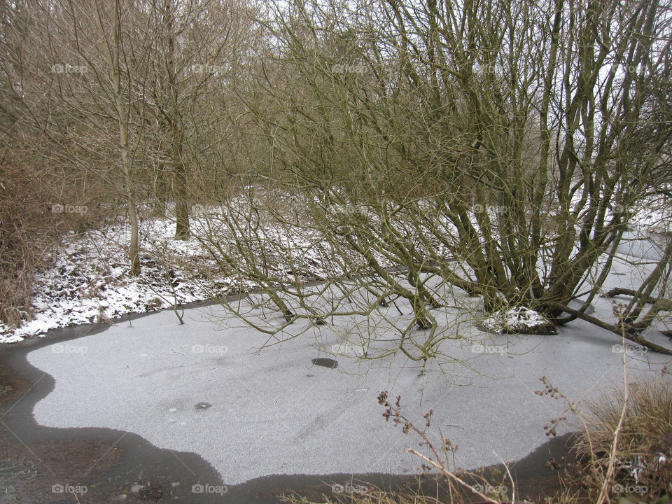 Frozen Pond