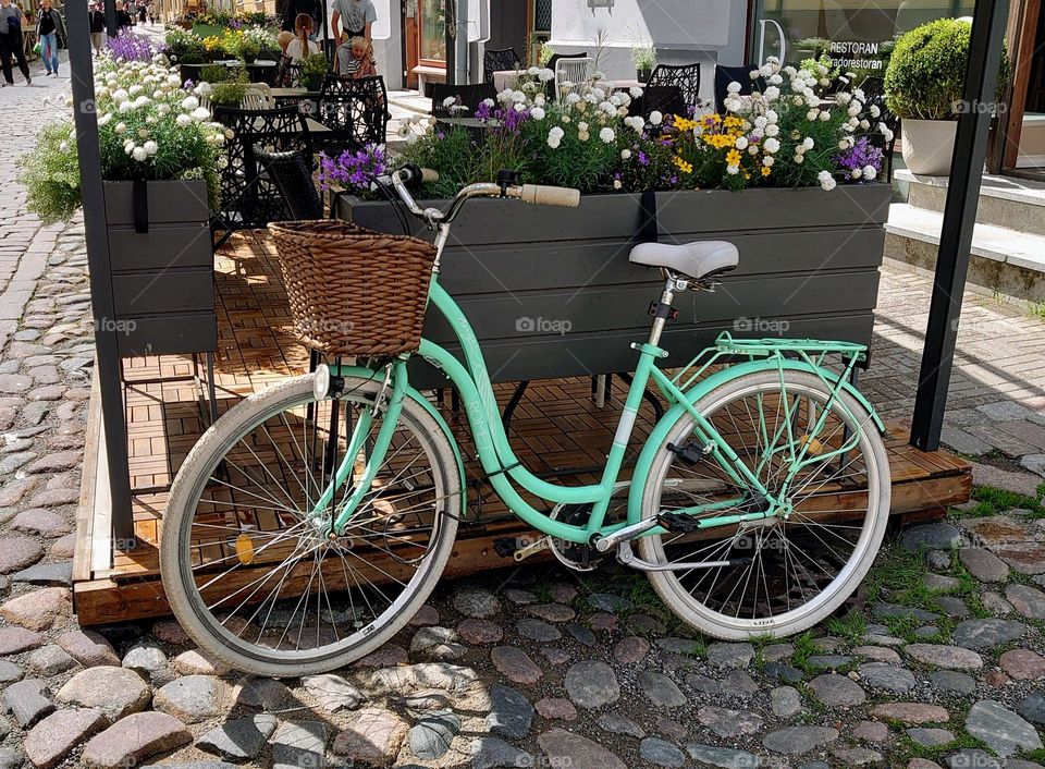 Bicycle 🚲 Summer 🌞 Outside 🚲