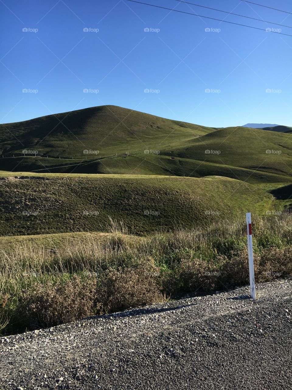 New Zealand hills 