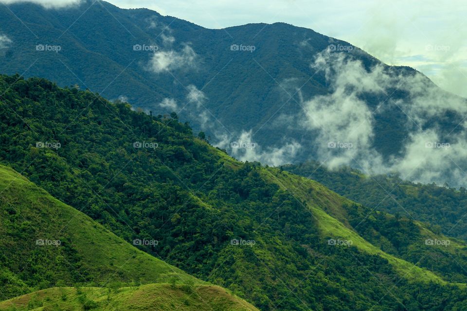 The Greenish Mountain Range and slope. Captured during my hiking at Gabaldon Mountain