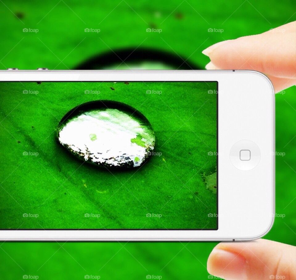 Drop water on lotus leaf in smartphone