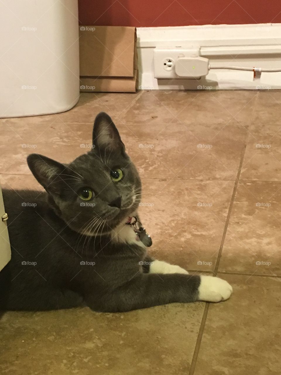 My Luna modeling for me. 