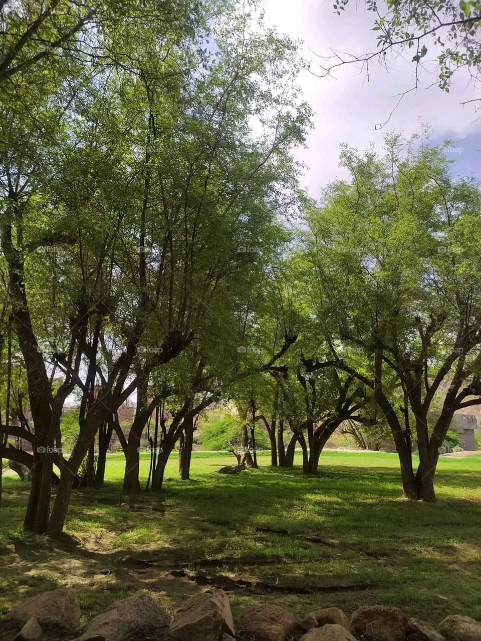 Glory be to God, the magnificent and picturesque view and the natural green trees are a view that is nothing more wonderful than it