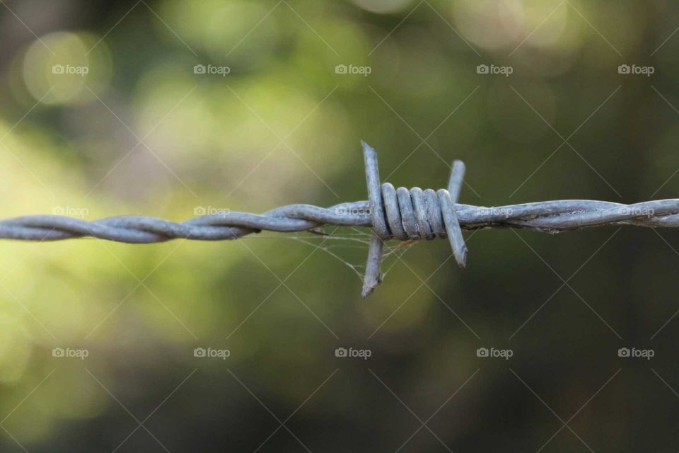 Close-up of barbed wire