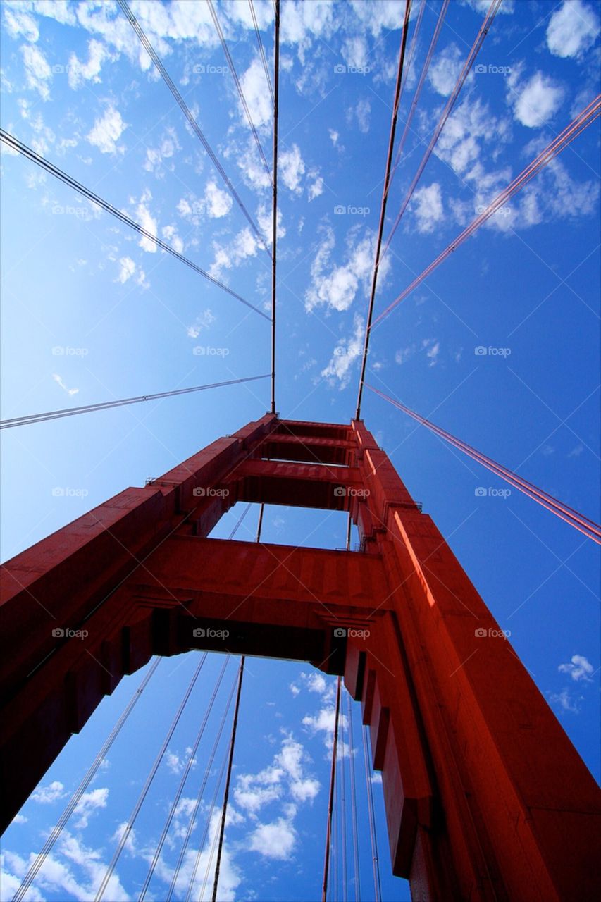 Crossing The Bridge