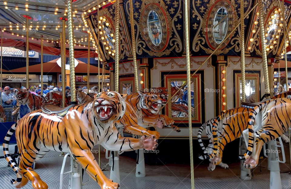 Detroit Tigers Carousel