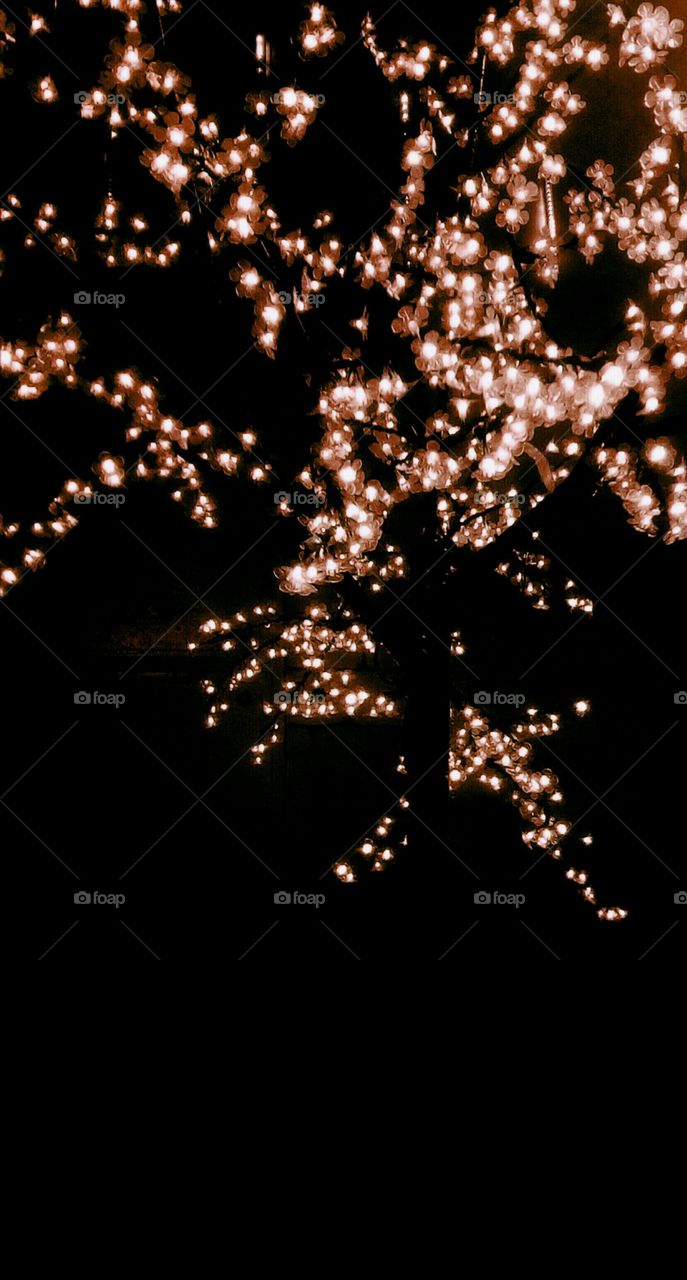 Golden shining brilliant glistering lights
on dark backround as rain of lights in the night